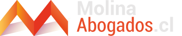 logo-molina-dl